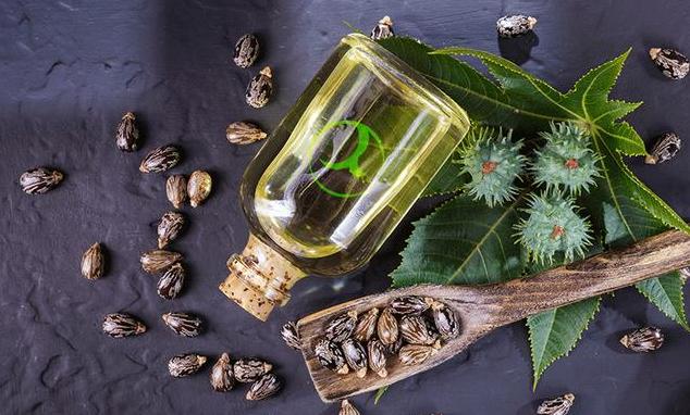 蓖麻子为什么成为了战略物资,美国将蓖麻列为战略物资