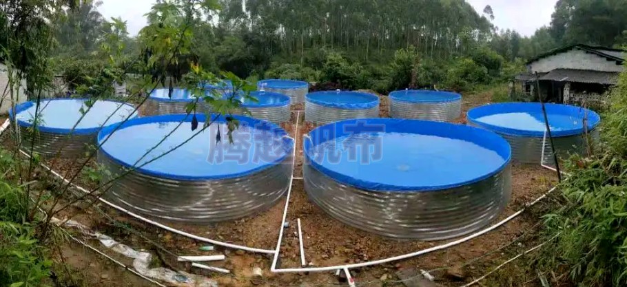 泥鳅的养殖技术和建池,泥鳅的养殖方法和技术与应用