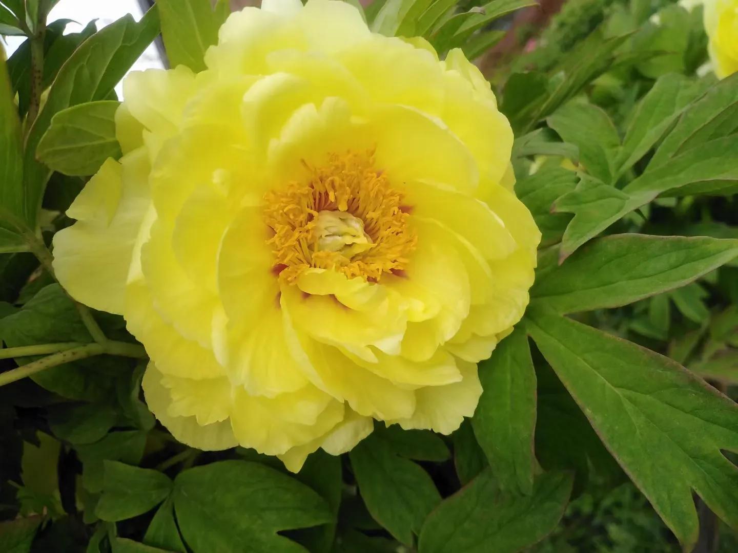 担保是怎么担保的呢,担保怎么做才起法律作用