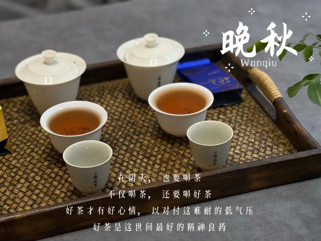 小雪节气喝什么茶,小雪节气养生喝茶
