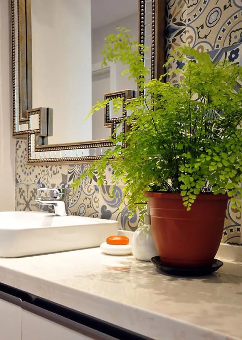 卫生间可养“6种花”，耐阴好养，吸收水分杀毒灭菌，干净清爽