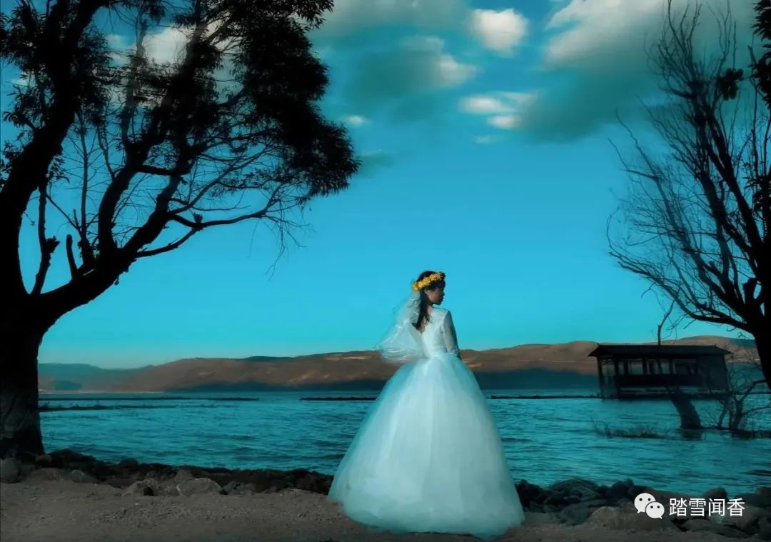 璧炵埍鎯呯殑璇楄瘝,鍙や唬鐖辨儏璇楄瘝