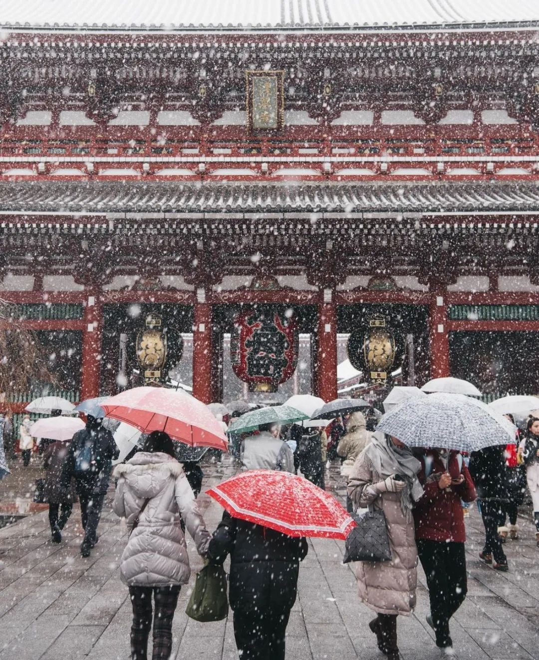 日本御守可以买吗,代购日本御守可以购买吗