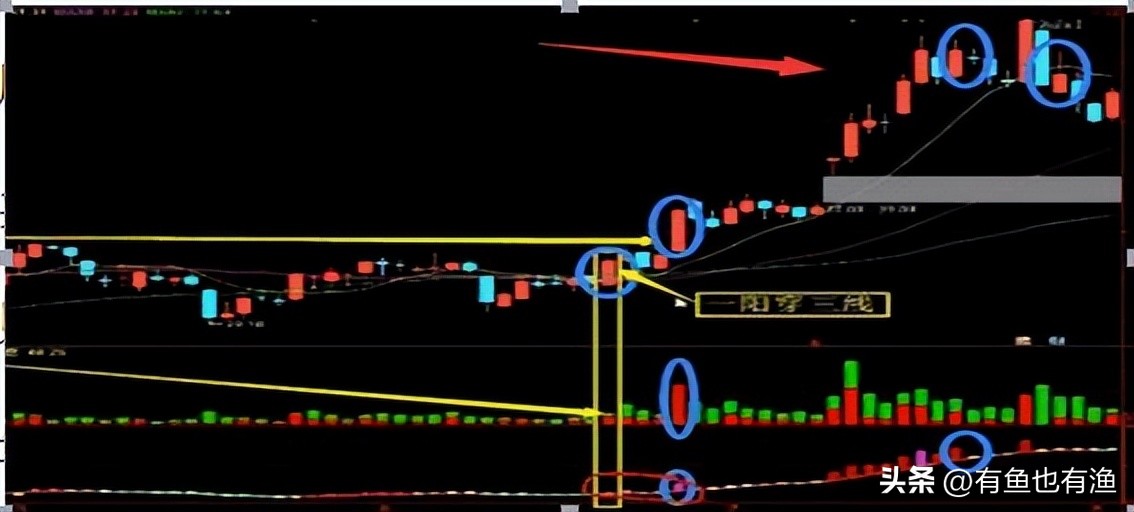 散户在股市成功盈利的实践,散户在股市上赚钱的真相