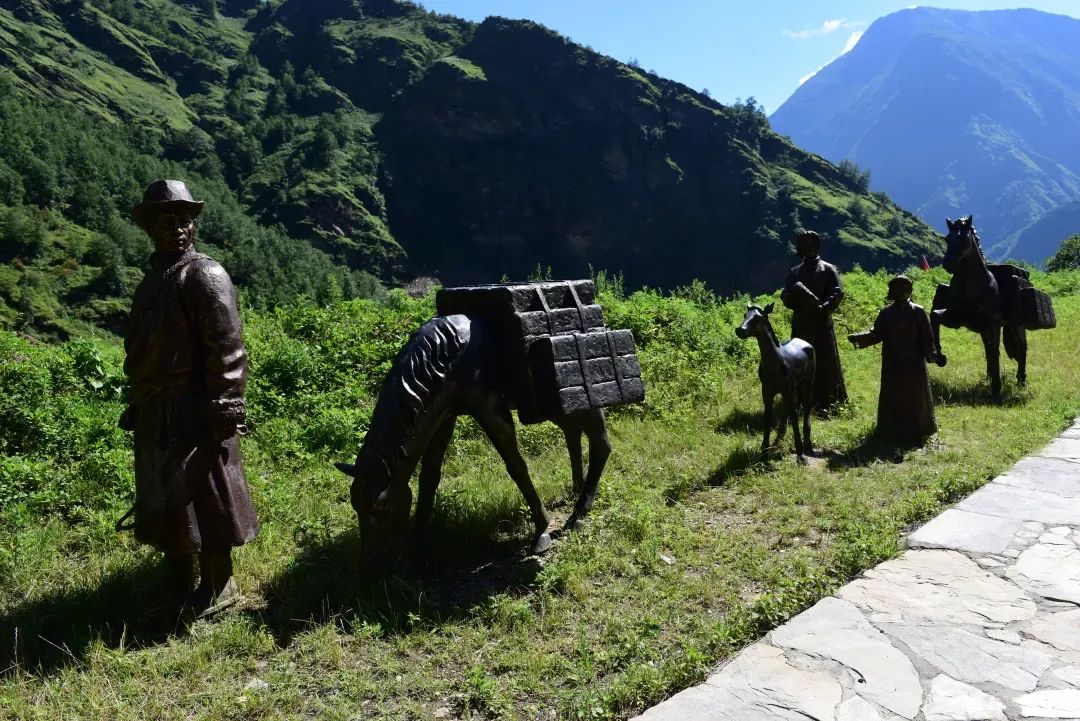 茶马古道滇茶古韵,茶马古道普洱烟茶