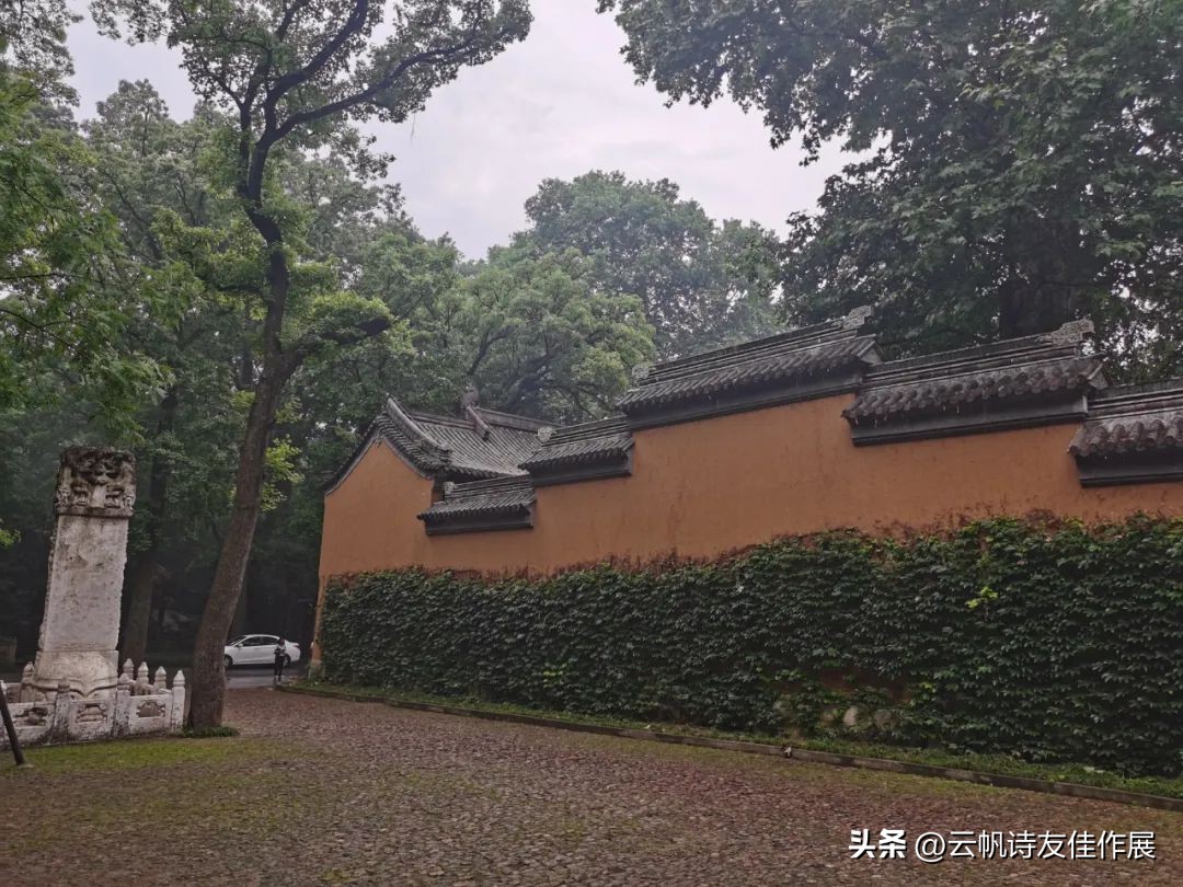 诗人蒋世鸿,蒋世鸿最著名的诗