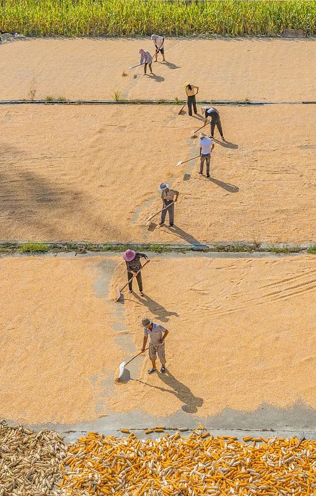 江苏宿迁最强县,江苏宿迁地道美食