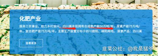 氨气新能源,新能源燃料氨气