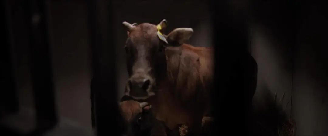 2023年已完结电视剧排行榜前十名,2023年热门电视剧排行榜前十名