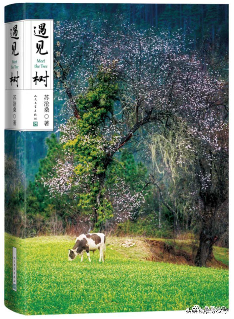 散文作家苏沧桑,冬酿散文