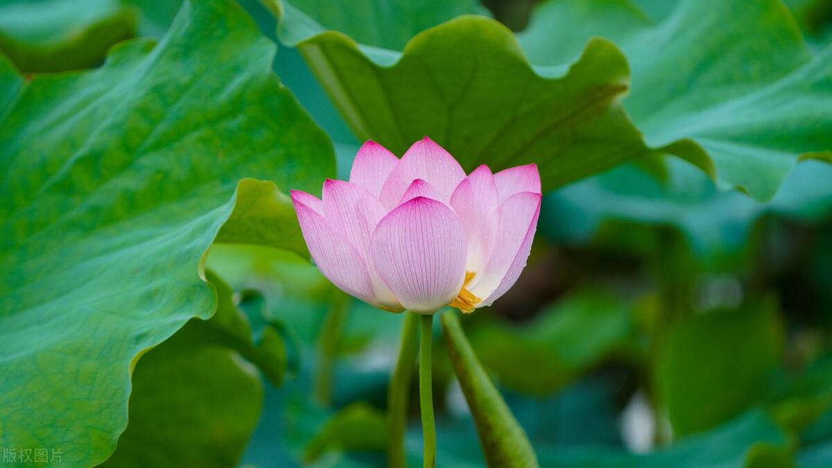清远漂流一日游,清远清泉湾水上乐园跟团游
