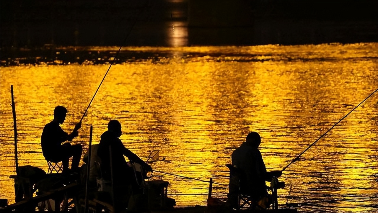 夏季夜钓有三个上鱼“窗口期”，能连杆爆护，都在哪个时间段？