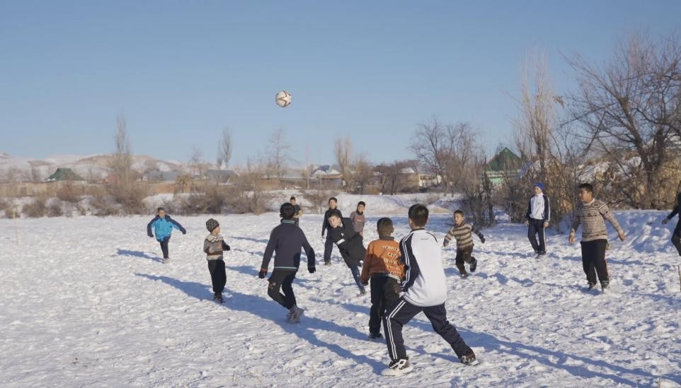 伊利绿色百分之99牛奶,伊利绿色牛奶