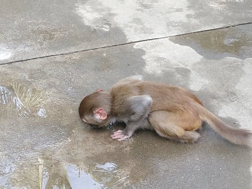 三亚旅游凤凰岛攻略,海南三亚旅游攻略文档