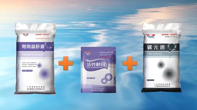 泥鳅冬季开花的养殖技术,泥鳅开花做法