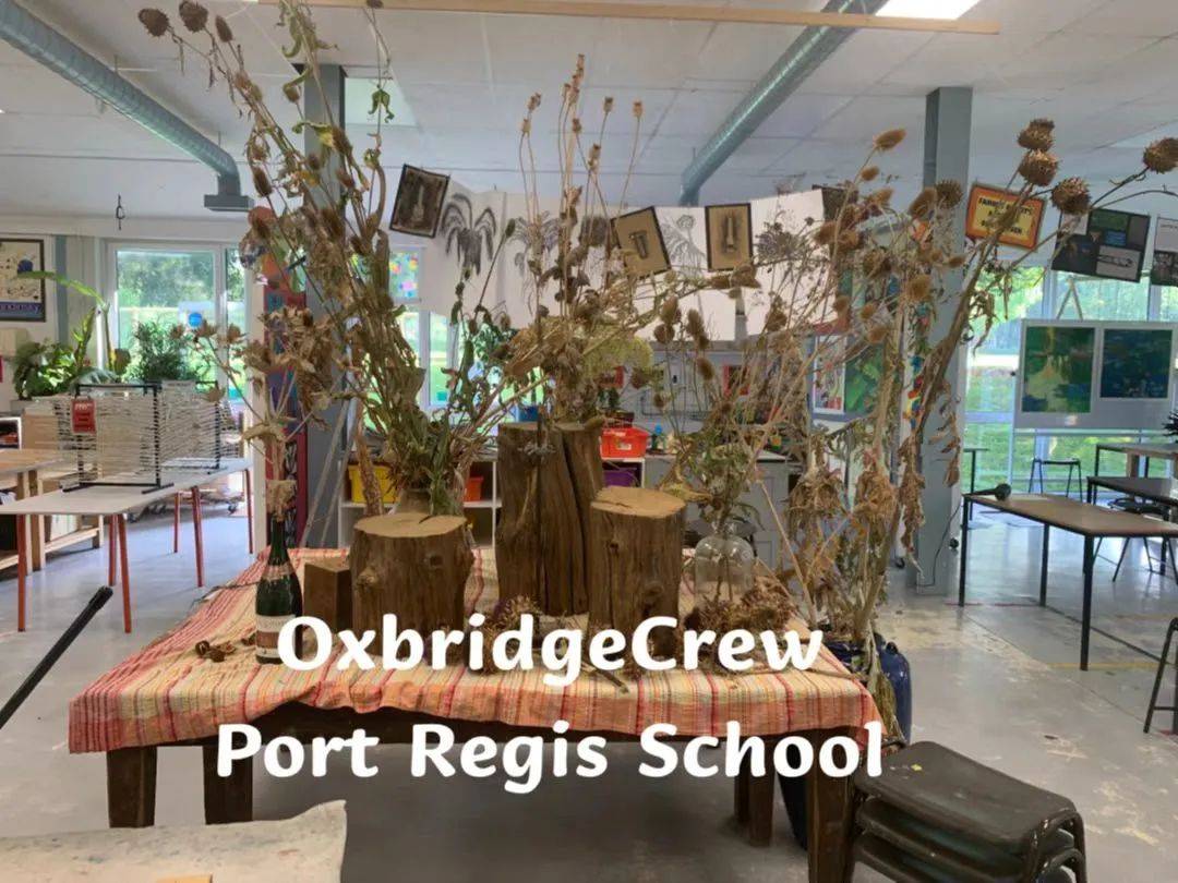 英国教育体制及学位是怎样的,英国私立学校教育方案