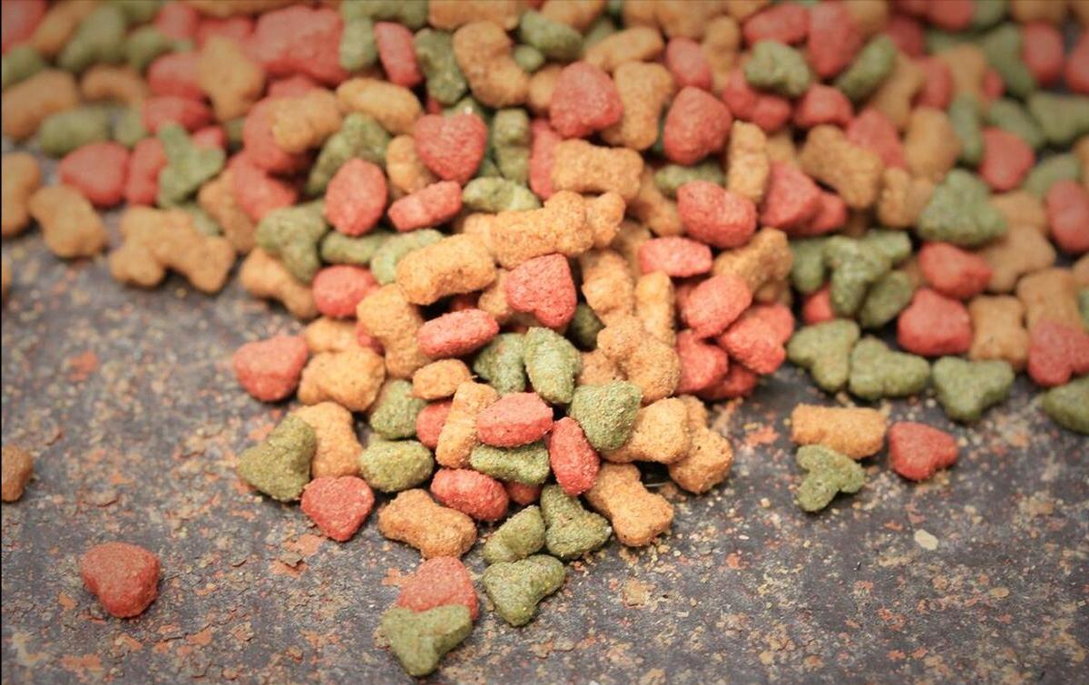 狗狗吃哪种狗粮毛发漂亮易消化,狗狗吃什么狗粮最好最健康