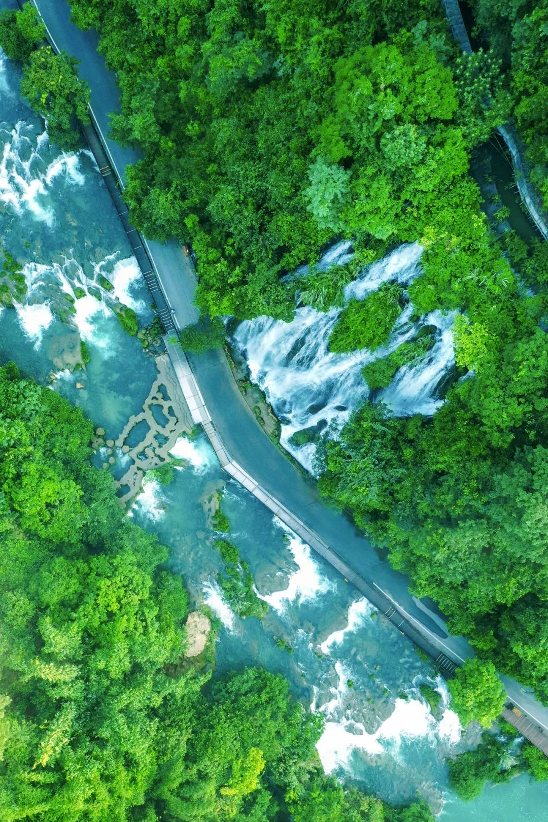 绿色狂想曲,绿色狂想曲三年级