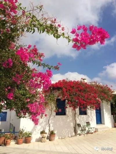 不要为打翻的牛奶而哭泣英文,不要为打翻的牛奶而哭泣什么意思