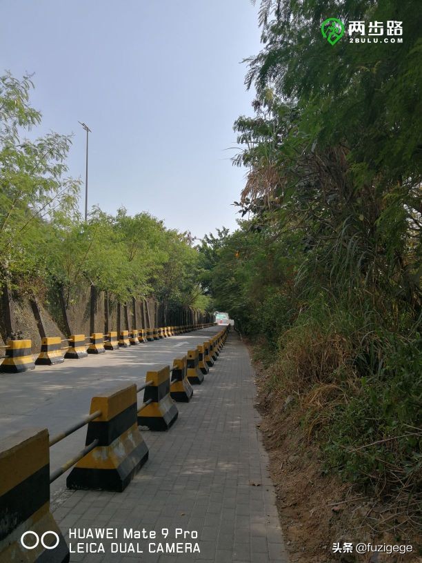 深圳徒步路线从梧桐山到盐田,深圳十峰大南山徒步最佳路线