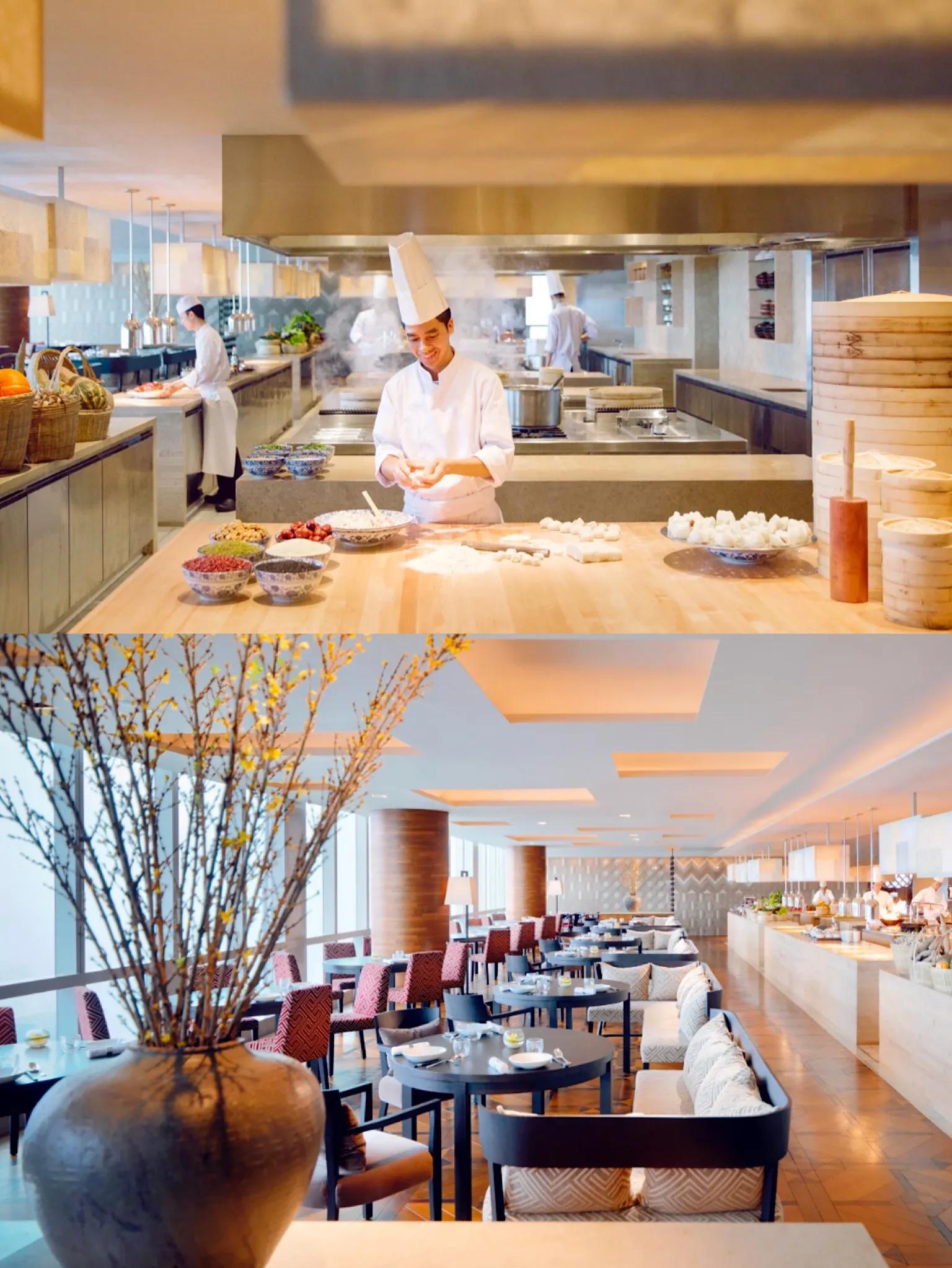 土豪的世界所有视频,土豪的世界详解