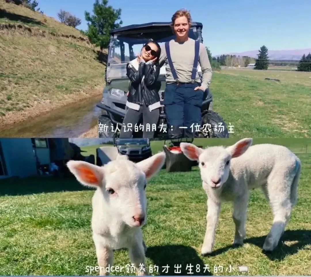 中国流浪女在新西兰,中国姑娘在新西兰街头流浪