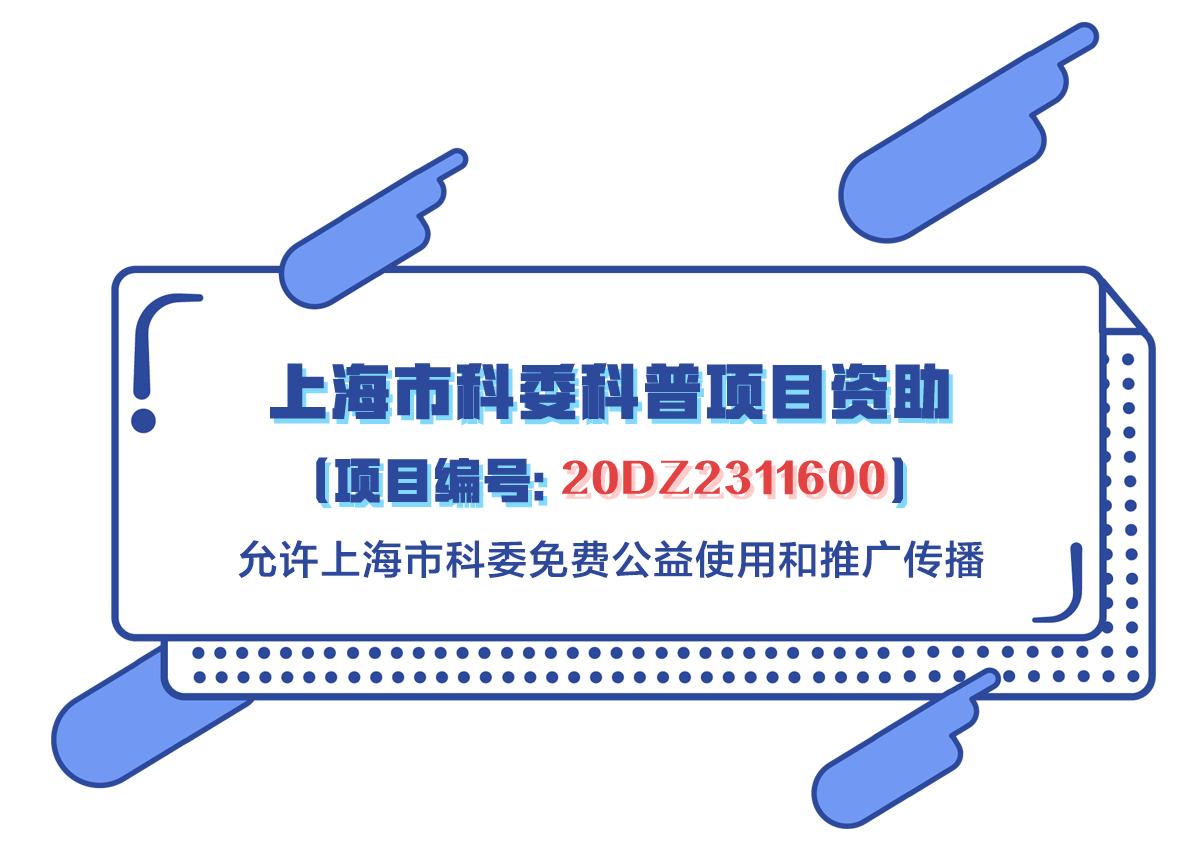 有利于肾恢复的食物,有利于肾健康的食物是哪些