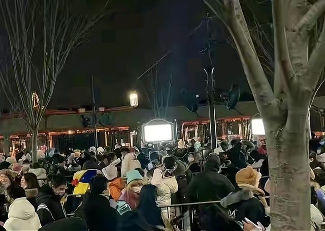 凌晨3点不到在迪士尼乐园排队,为买川沙六宝疯狂,背后为了什么