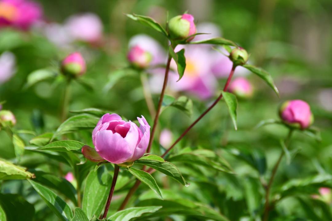 许昌人周末游玩,许昌人去哪景区免门票