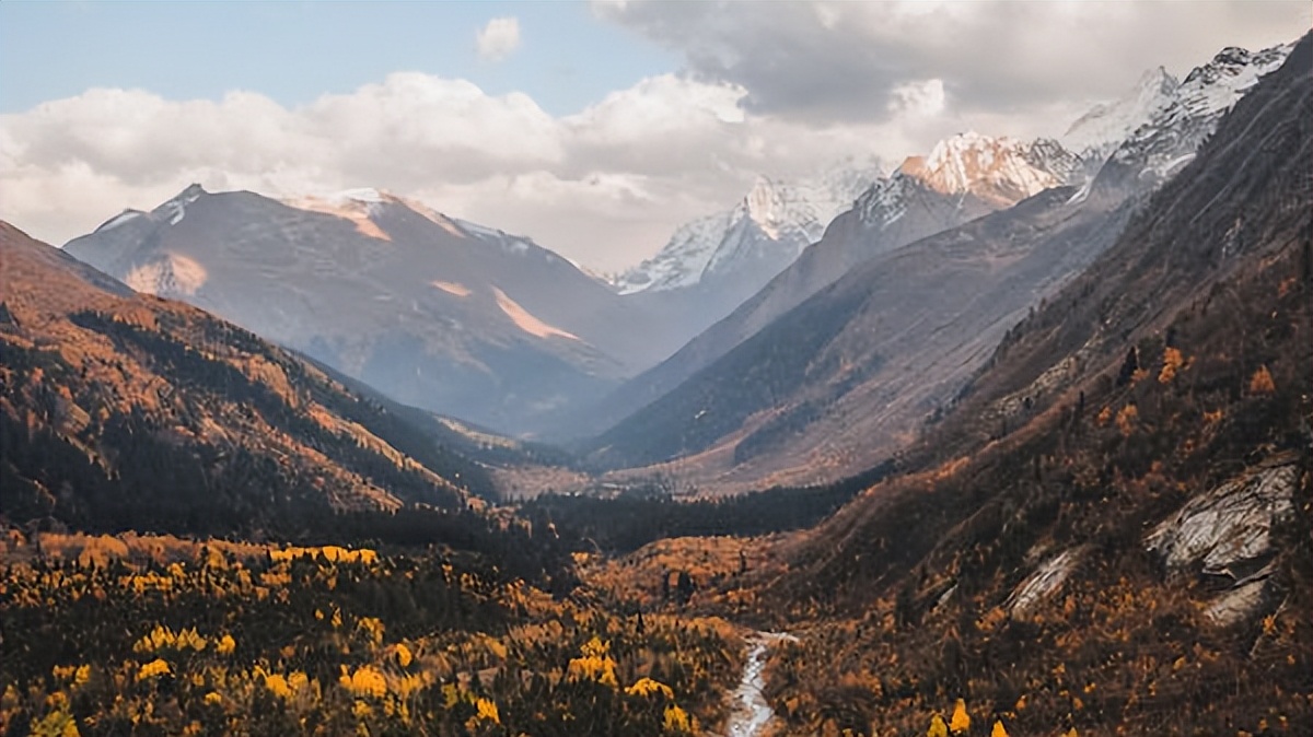 文章最好听的背景音乐,美文朗读背景音乐推荐