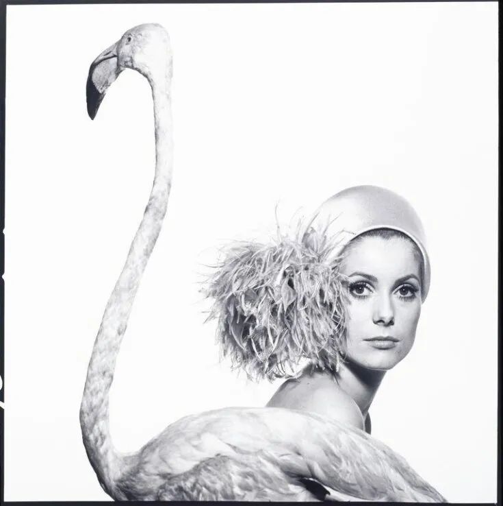 那位曾靓绝时尚圈、串起欧洲上流社会的超模为何落魄至此……