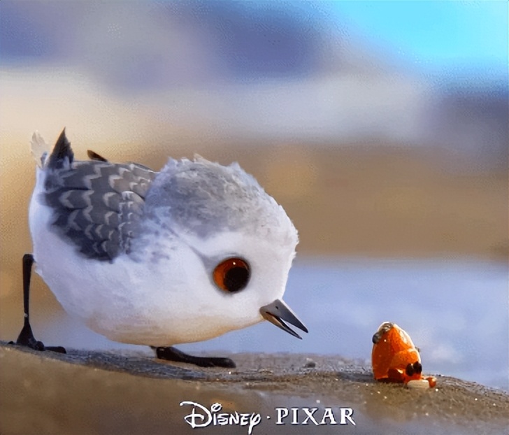 暑假必须陪孩子看的几部动画电影,暑假适合孩子看的动画电影中国