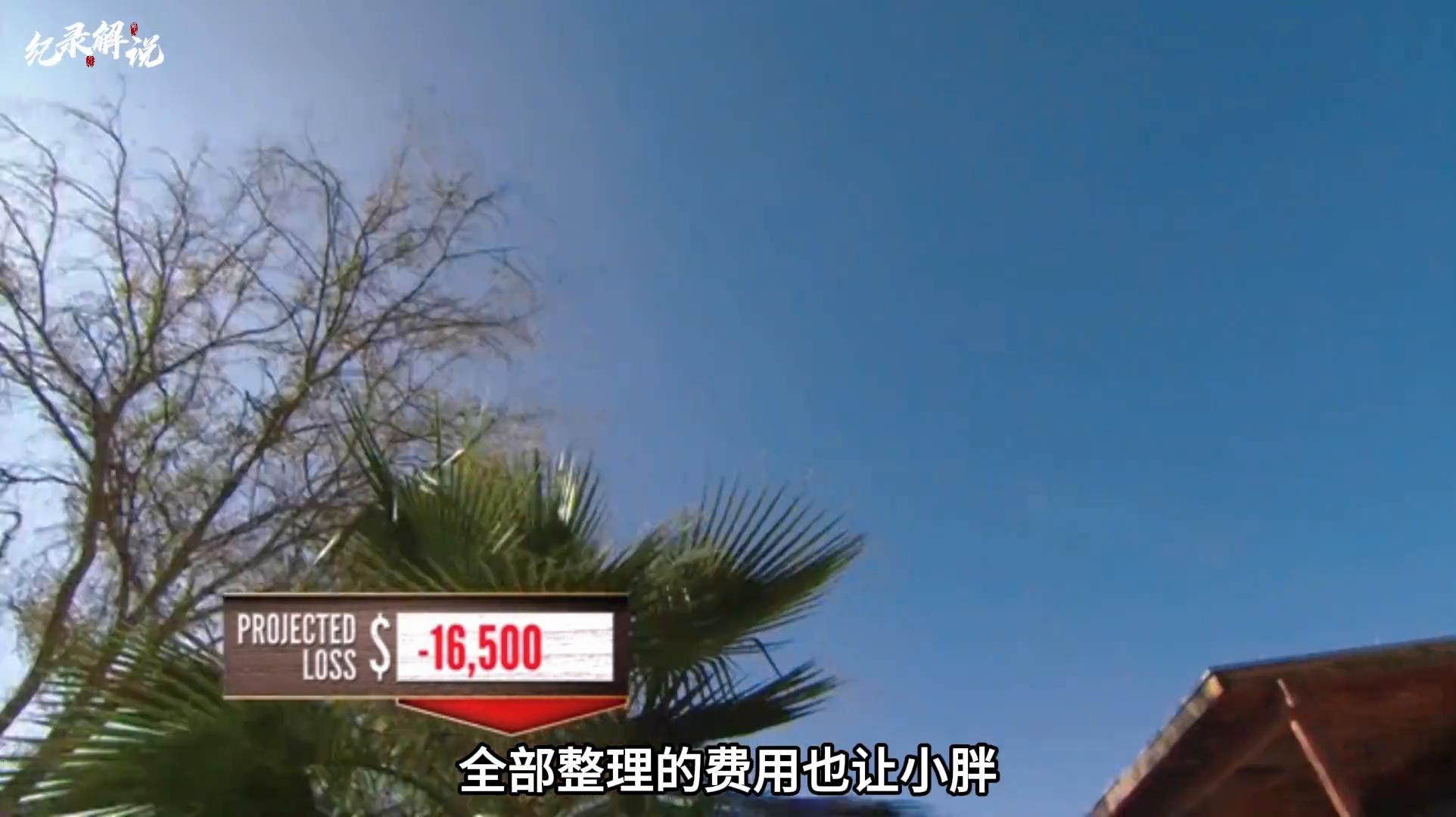 房产盲盒是什么,房产盲盒合集