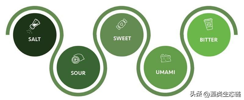 从池塘浮渣到产品:藻类化学