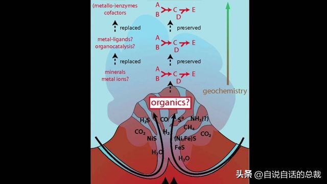 潜入深海寻找宝藏,潜入海底最深处你会发现什么