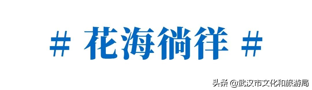 不出武汉旅游推荐,五一不出武汉三日游适合去哪里