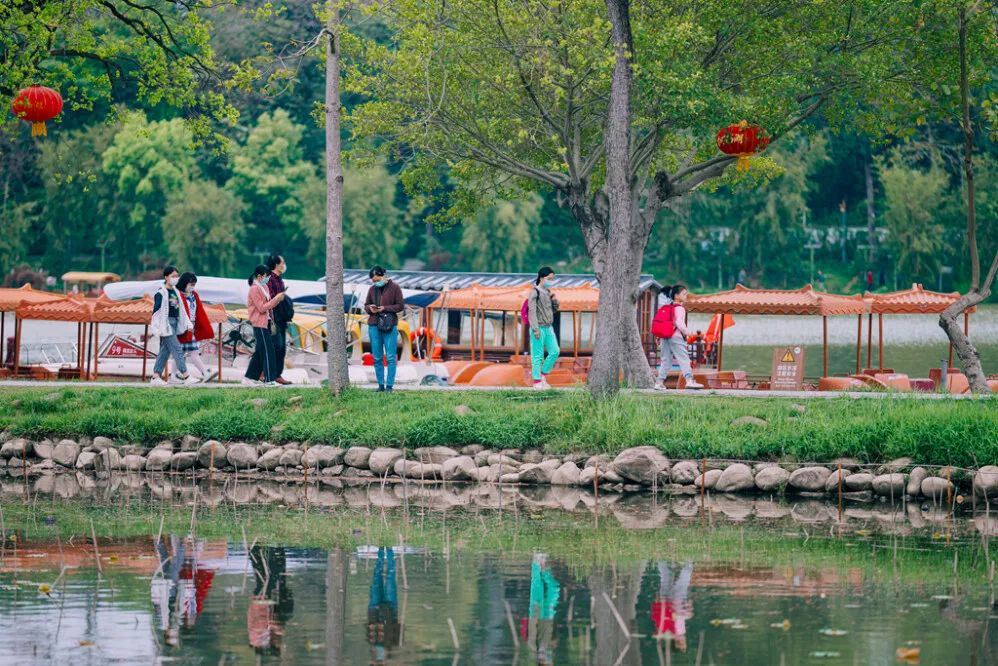 惠州带娃踏青好去处,惠州清明免费踏青好去处