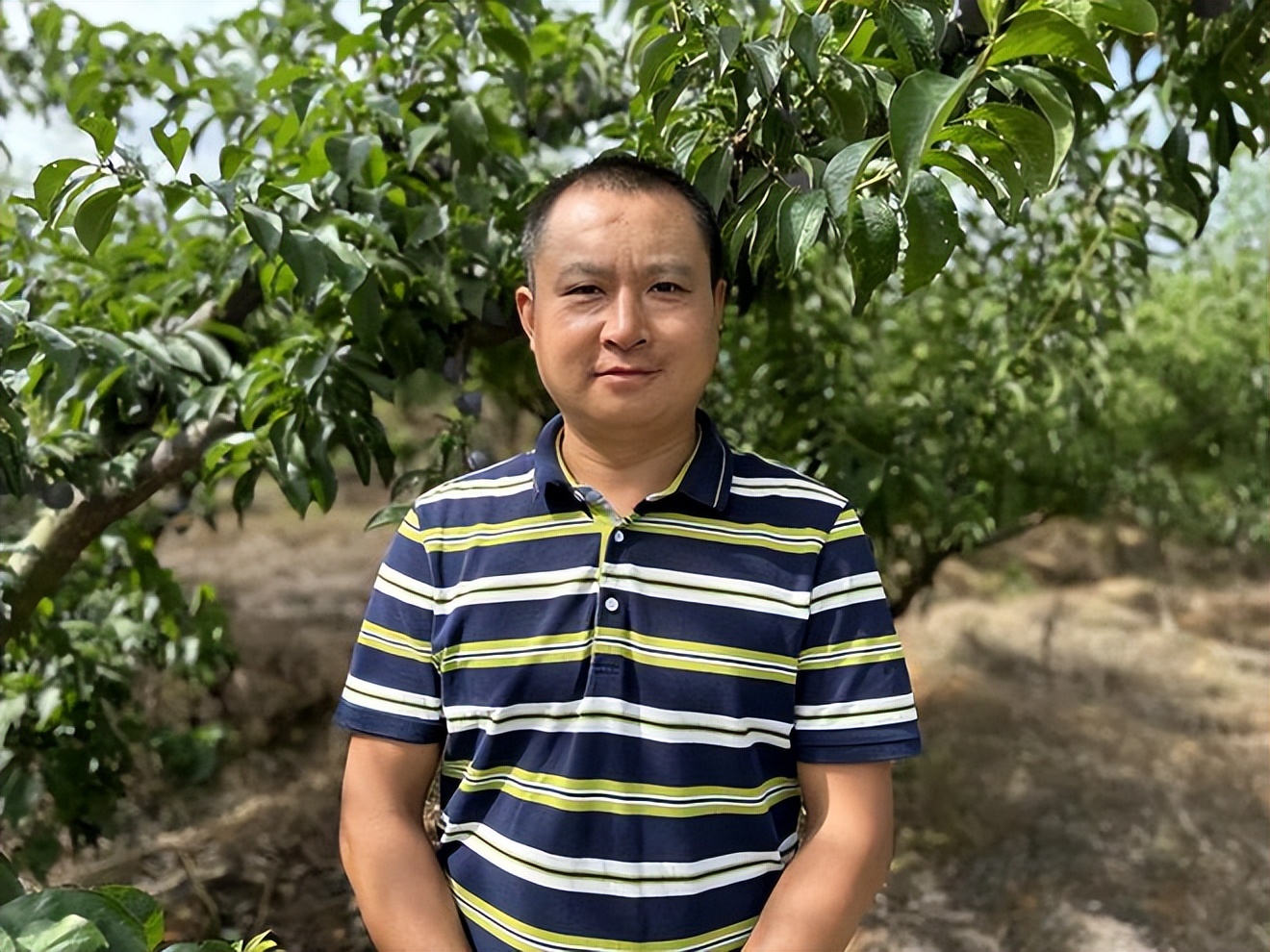 辛选集团创始人辛巴坚持走助农之路，助农增收“致富果”