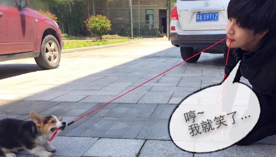 薛之谦离婚净身出户后创业,薛之谦离婚净身出户