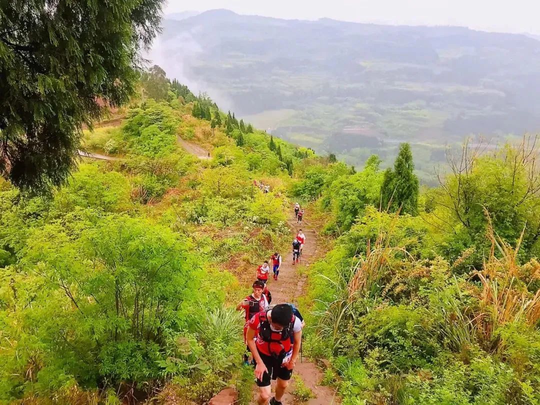 成都金堂赛事最新消息,成都金堂最新赛事