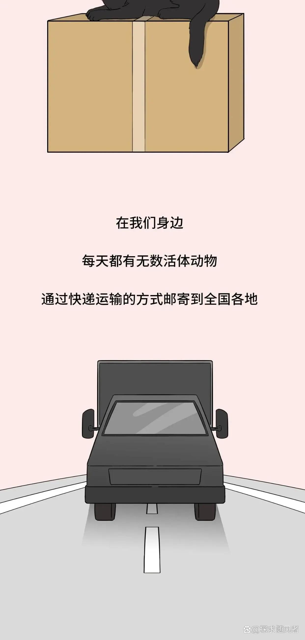 救救我我不想死日语,救救我漫画免费观看