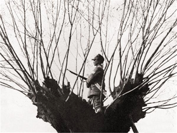 八路军夜间看到一只狼发现有埋伏,八路军遭鬼子追击