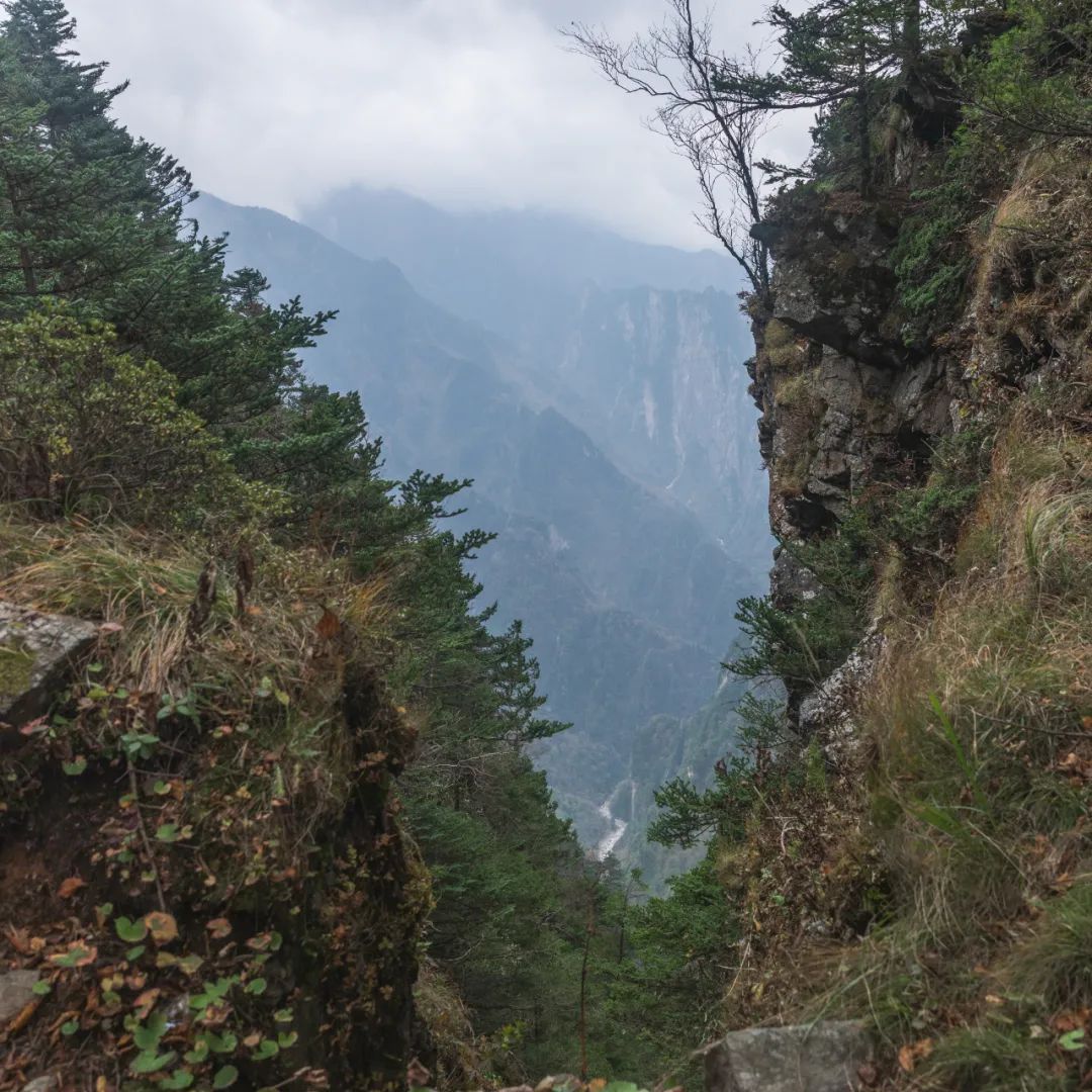 登太白山感受,太白山景区登顶拔仙台