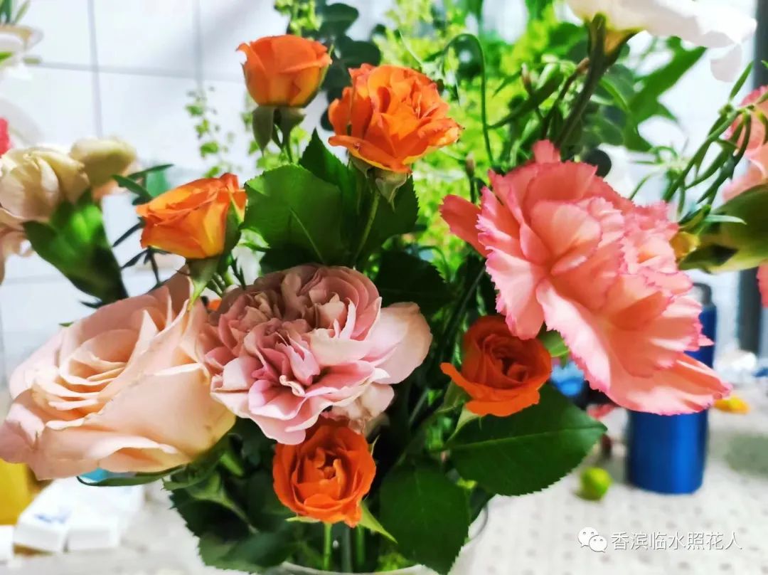 第十届创新作文大赛获奖作文,第十五届创新作文大赛作文题目