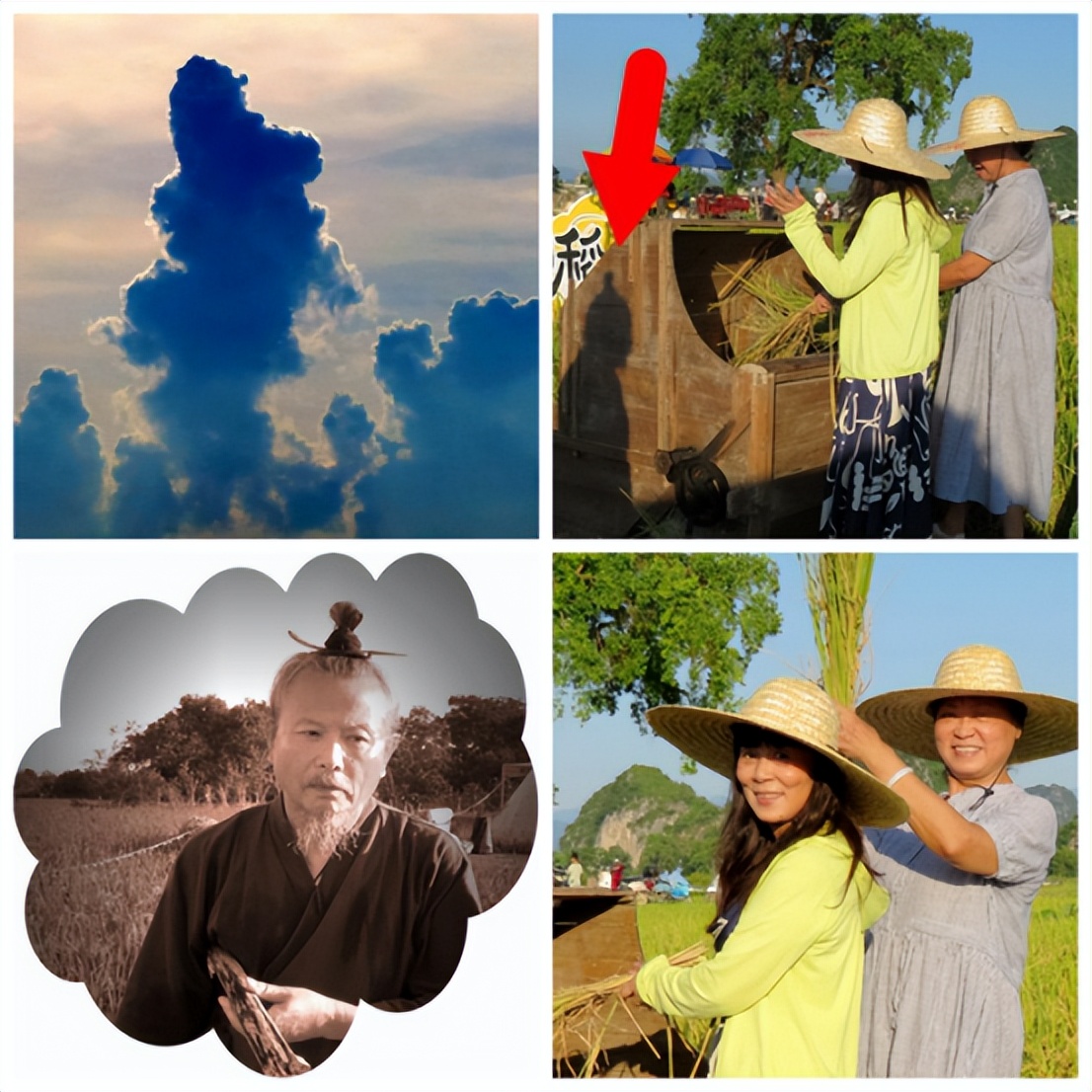 漓江边的“水淹田”,不仅是“稻坚强”,竟还传出天籁之音