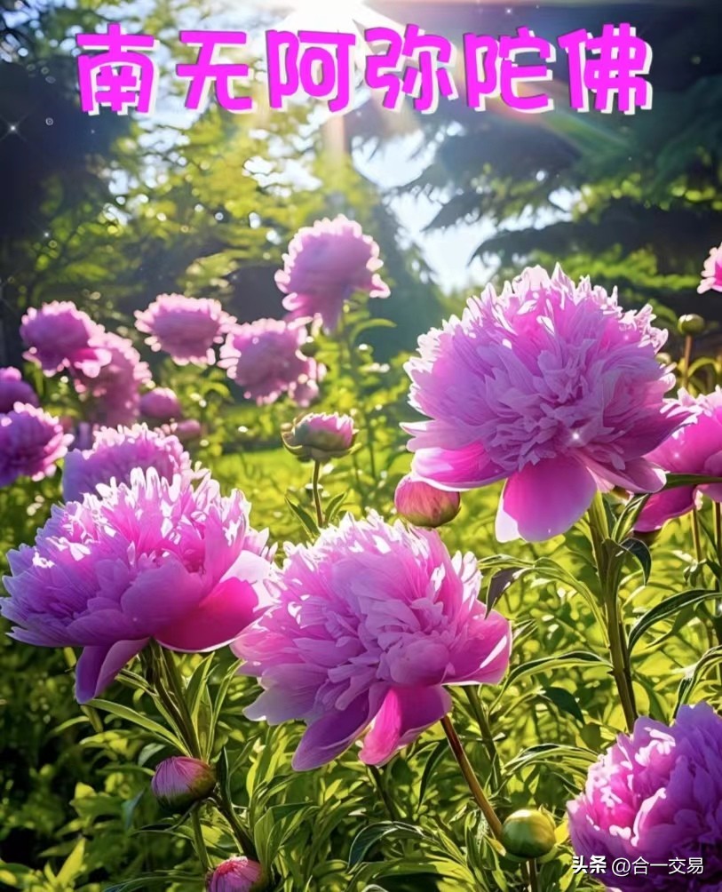 期货日内交易必须学会的知识,股票期货交易的正确观念