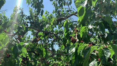 五一秦皇岛小众旅游,秦皇岛一日游最值得去的地方