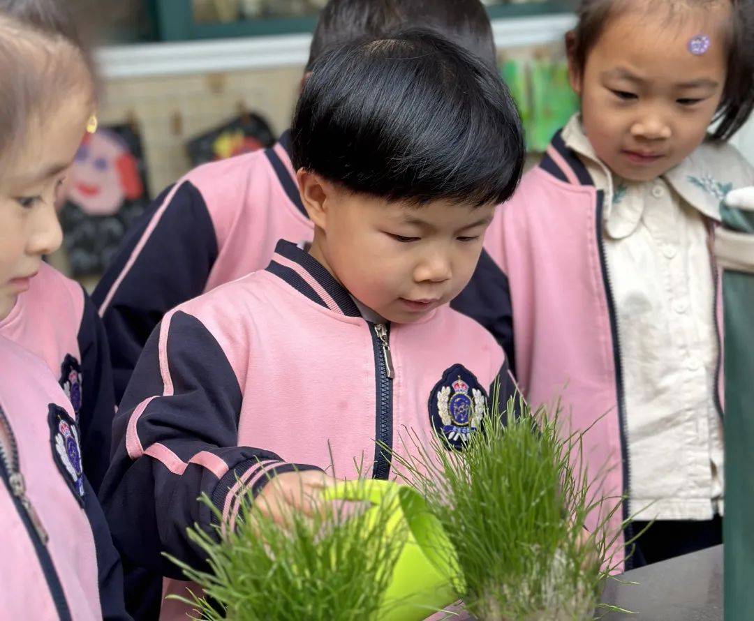 桐乡市庆安乐儿堡幼儿园,浙江省桐乡市庆安乐儿堡幼儿园