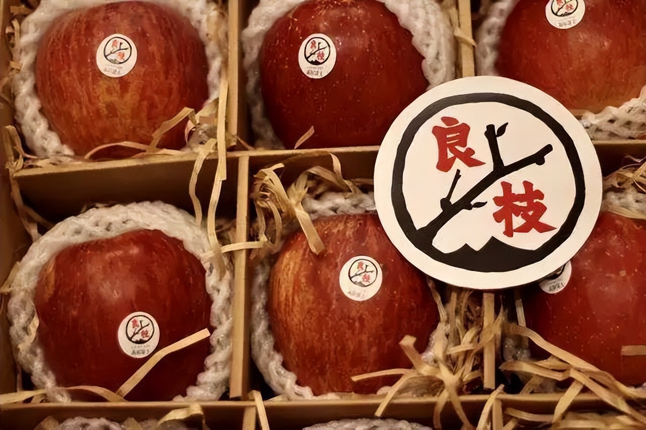 一年赚200亿的百果园盈利模式解析,创业开一家百果园一年收入多少