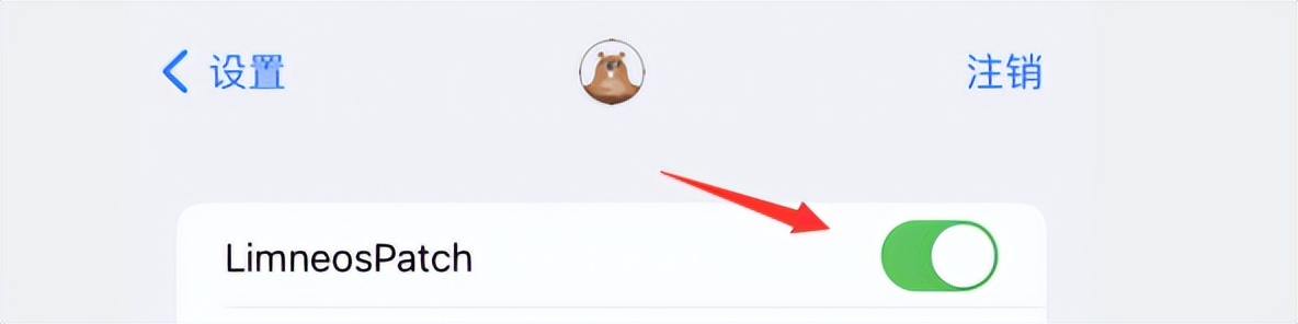 ios17.5.1灵动岛动画效果,ios12.2灵动岛插件